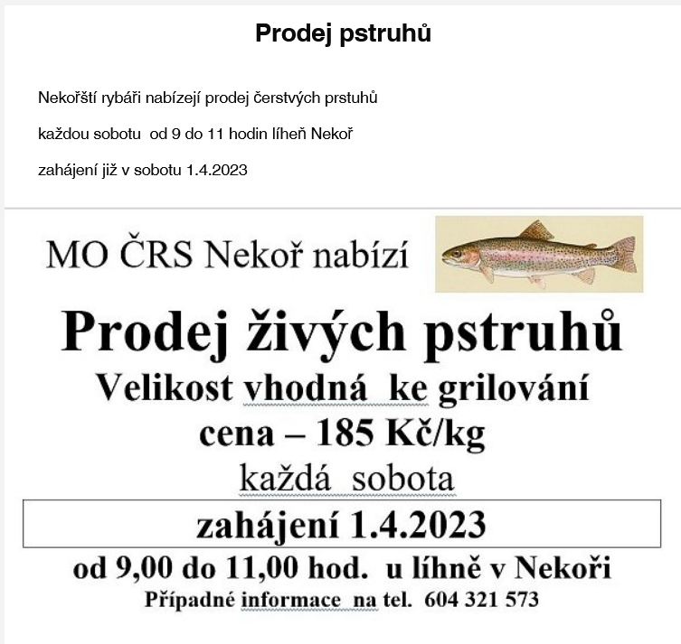 prodej pstruhů